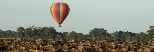 Hot air Baloon on a Wildebeest Migration Safari in East Africa