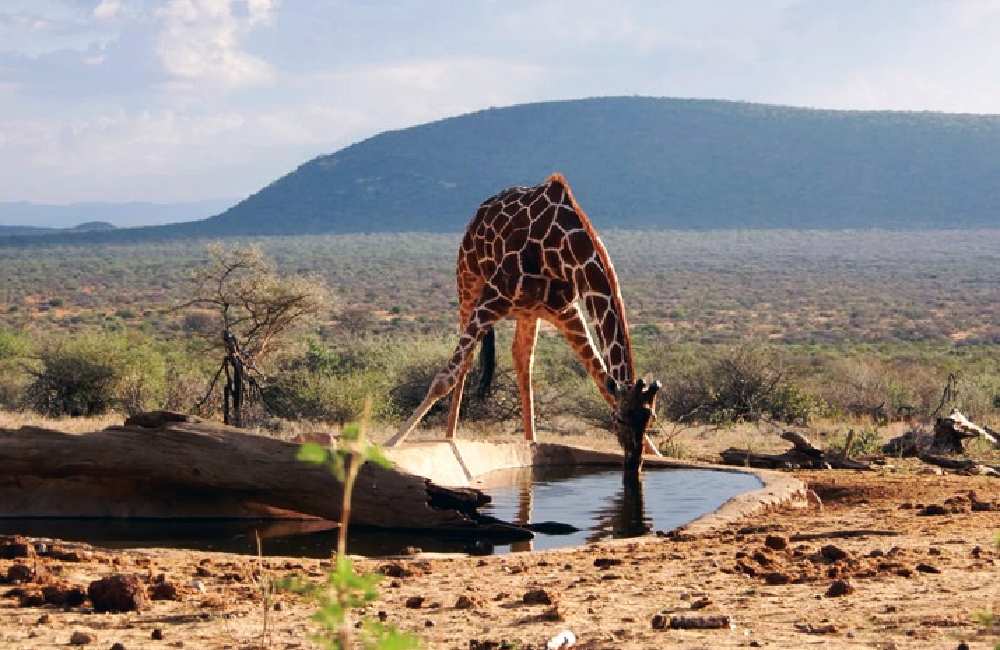 kalama conservancy image