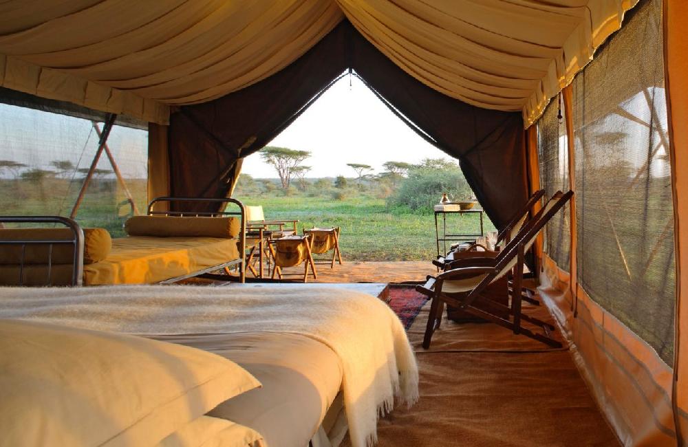 serengeti under canvas camp image