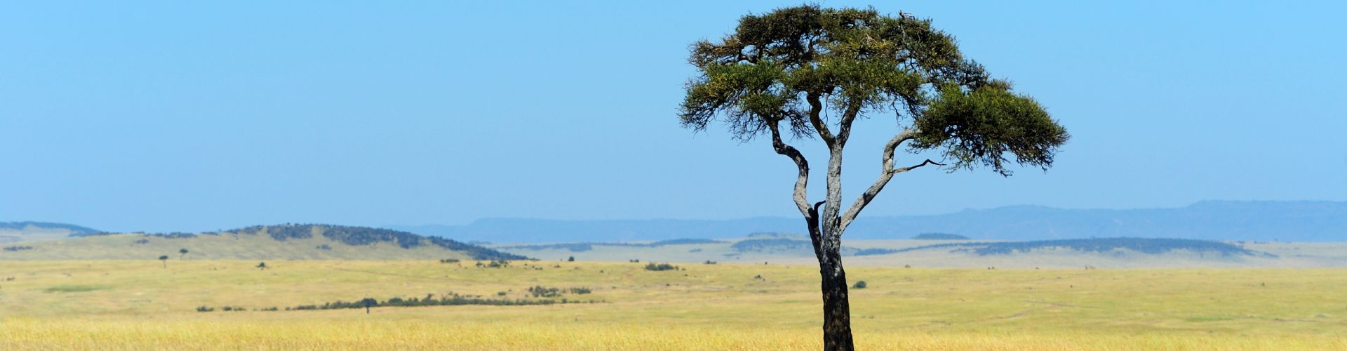 8 day tarangire national park home slide image