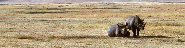 karatu ngorongoro crater safaris slide