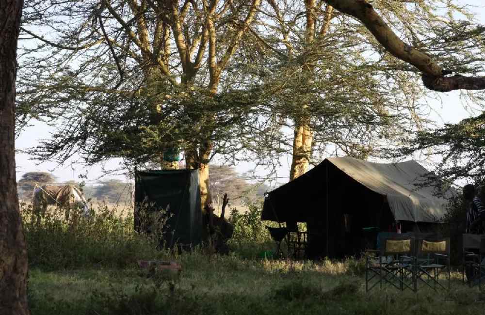 offbeat olare orok mobile camp