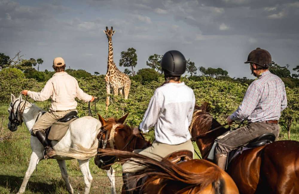 offbeat olol camp and horse riding