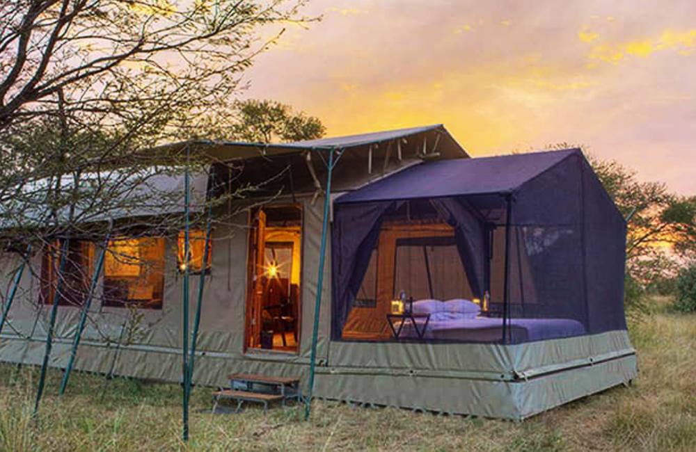 olakira camp image