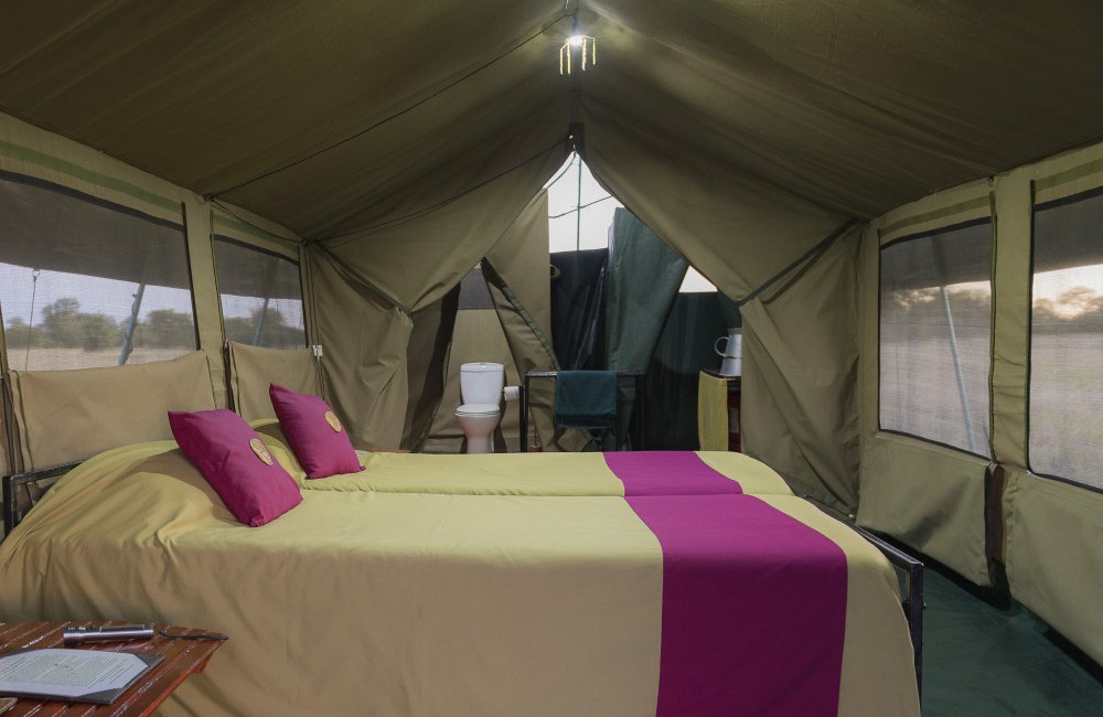 serengeti view camp image