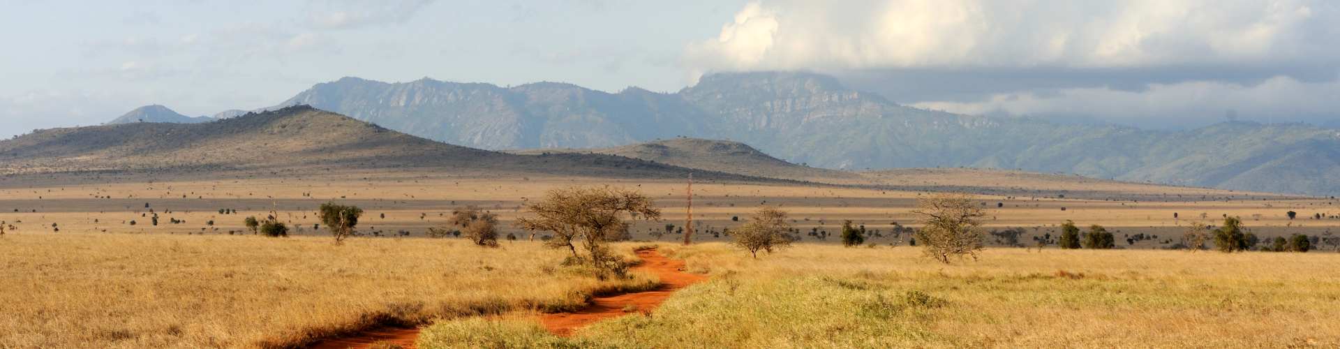 tanzanian crater safaris image