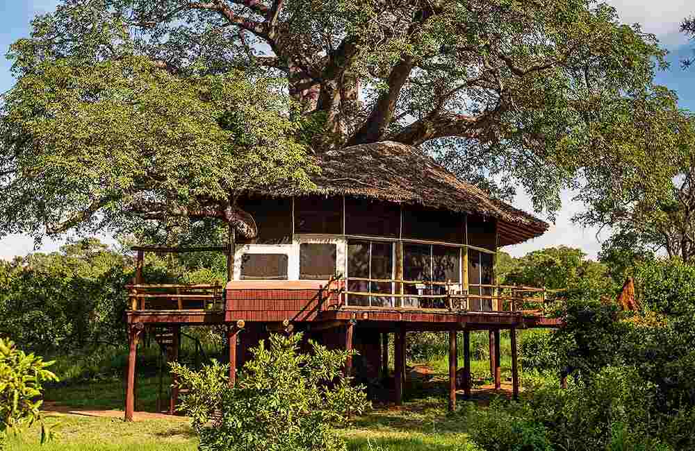 tarangire treetops camp image